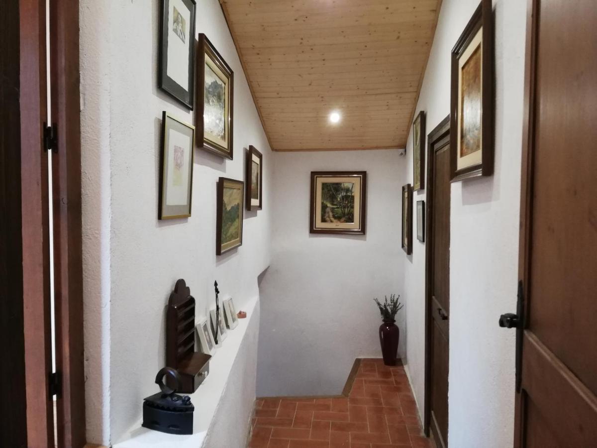 Sant Guim de FreixenetCal Bove公寓 外观 照片